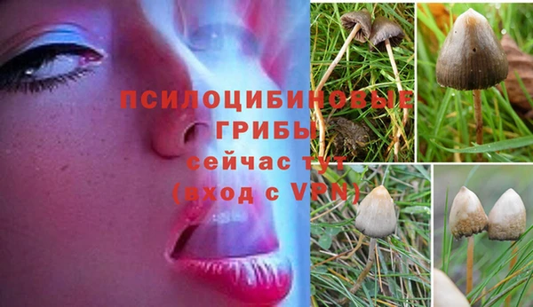 таблы Алексеевка