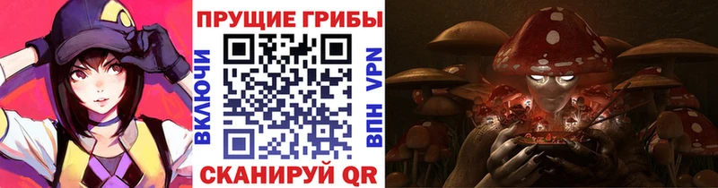 Псилоцибиновые грибы прущие грибы  kraken ONION  Неман 